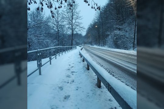 Mama lieja apmaudą dėl situacijos Kaune: kaip su vežimėliu pravažiuoti?