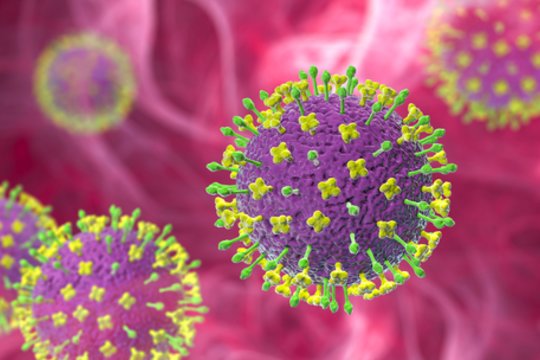 ECDC: Nipos viruso rizika europiečiams labai maža