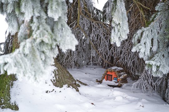 Pakaunėje elfai sulaukė minios lankytojų – kol vienas incidentas viską pakeitė