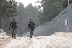 VSAT: devintą parą Baltarusijos pasienyje neapgręžtas nė vienas migrantas