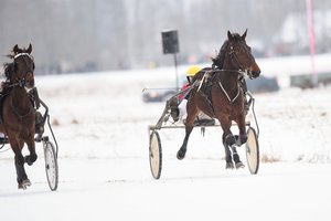 Ristūnai grįžta ant ledo: „Sartai 2026“ lenktynėse šiemet laukiama net 50 tūkst. žiūrovų