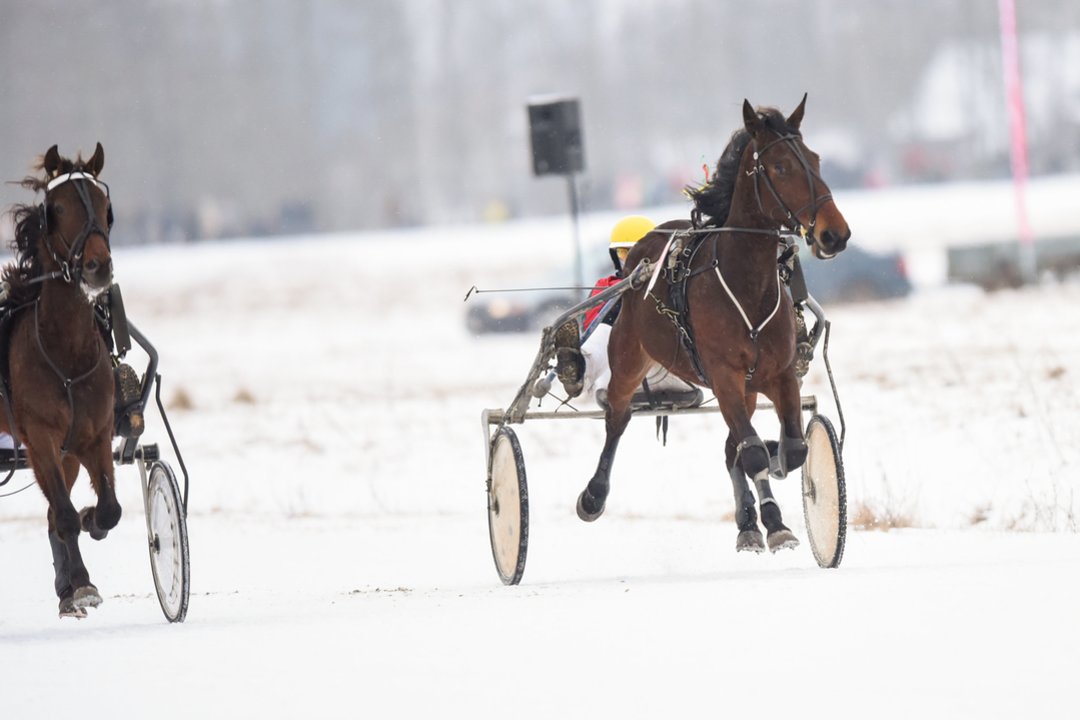 Ristūnai grįžta ant ledo: „Sartai 2026“ lenktynėse šiemet laukiama net 50 tūkst. žiūrovų