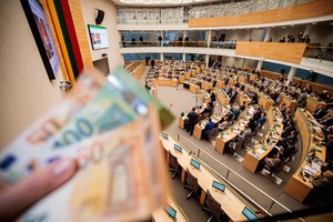 Lietuvoje norima atsisakyti vienos verslo formos: į valstybės biudžetą žada surinkti daugiau lėšų