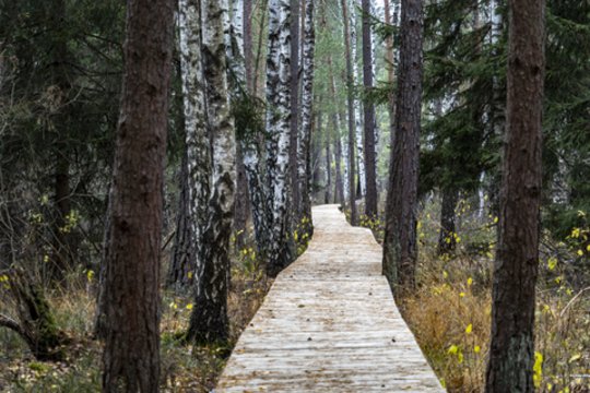 Būtų pirmieji tokie Lietuvoje: Pakaunėje žada įrengti ypatingus takus