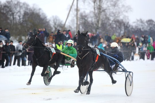 Dusetose vyks šventė „Sartai 2026“: ant hipodrome išlieto ledo varžysis ir ristūnai žirgai
