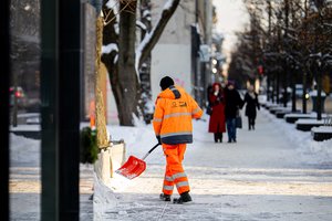 Dalyje Lietuvos šaltis spustelėjo beveik iki 30 laipsnių: sinoptikai įspėja – bus dar blogiau