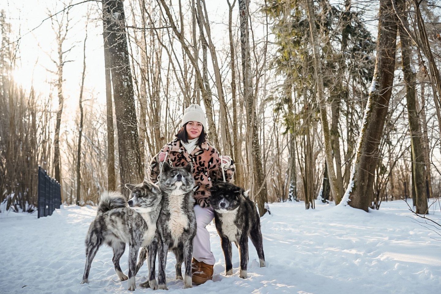 Panevėžio rajone, netoli Vaivadų, įsikūręs veislynas „Akitanija“ jau aštuonerius metus kryptingai augina japoniško tipo akitas.<br>Ž. Večiorkutės/jp.lt ir asmeninio albumo nuotr.