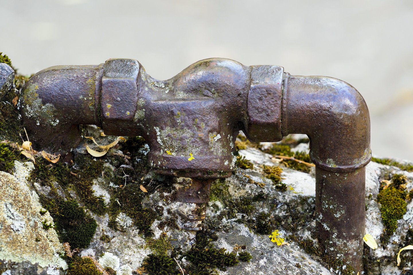 Vandentiekis.<br>V.Ščiavinsko nuotr.