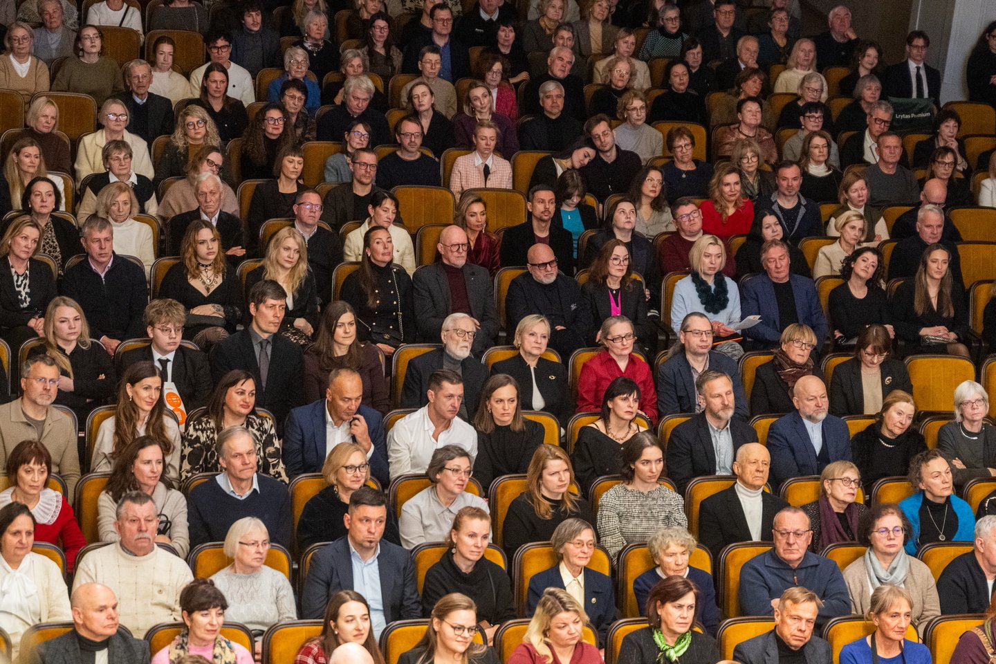 Koncertas.<br>D.Matvejevo nuotr.