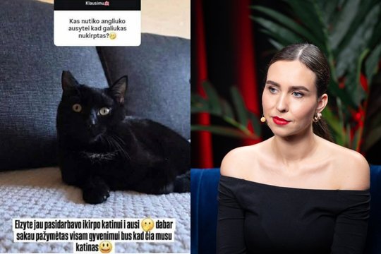 Po šiurpinančios influencerės istorijos apie sužalotą augintinį – F. M. Leščiauskaitės reakcija: „Nevisprotė“