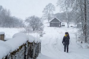 Sinoptikė – apie laukiančias permainas: kada kils pūgos, o kada galiausiai atšils