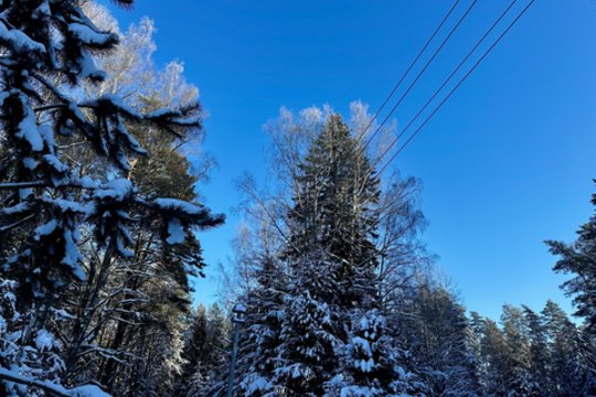 ESO skelbia, kiek antradienį gyventojų vis dar neturi elektros 