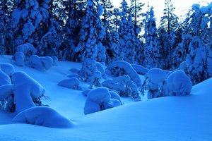 Sausis Laplandijoje – šalčiausias per beveik 40 metų