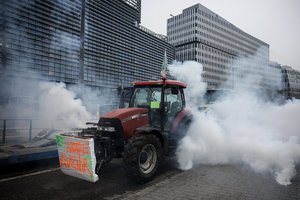 Kodėl Lietuvai prekybos susitarimas su Indija – mažiau aktualus nei su MERCOSUR?