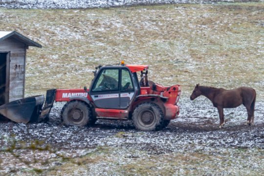 Prieš patikras – NMA patarimai ūkininkams: ką daryti, kad išvengtumėte pažeidimų