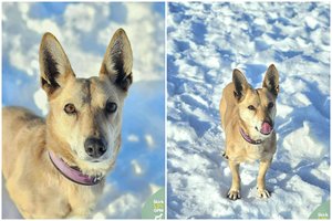 Pasivaikščiojimus dievinanti senjorė nori tapti šeimos dalimi