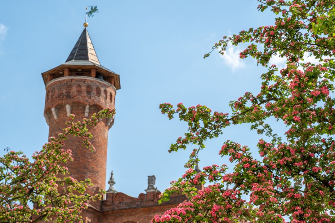 Vytis virš rotušės – žvilgsnis į šilčiausią Lenkijos miestą