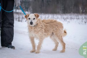 Meilės ir pasitikėjimo žmogumi nepraradęs senjoras ieško kam dovanoti visą save