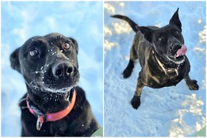 Ji patyrė per daug – dabar nusipelnė meilės, šilumos ir gero žmogaus šalia