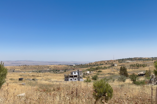 „Meno avilys“ kviečia į Amira Dayekh filmo „Aš — iš Pietų“ premjerą