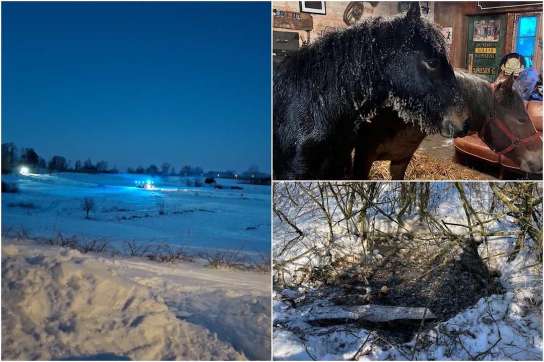 „Net minties nebuvo“: po dramatiškos pelkėje įklimpusio arklio gelbėjimo operacijos – padėkos ir priminimas visiems