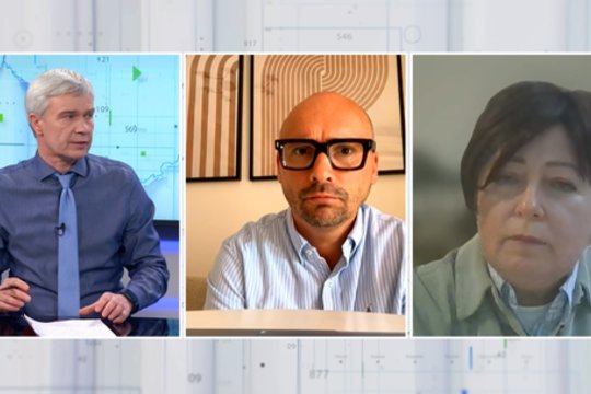 M. Maldeikio ir J. Bielskienės ginčas: J. Epsteino failų viešinimas – linčo teismas?