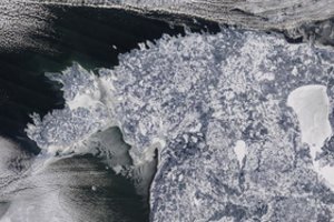 Vandens lygis Baltijos jūroje – vienas žemiausių per visą stebėjimų istoriją