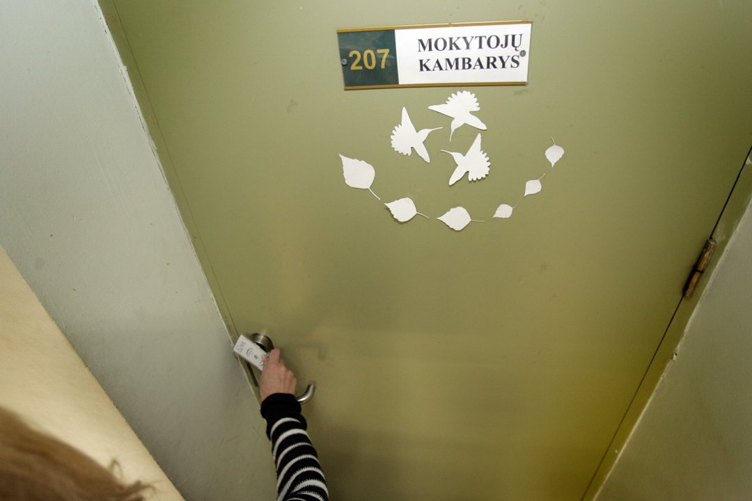 Elzė Šalčiūtė. Mintys iš mokytojų kambario ir bambėjimo kultūrą