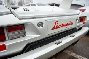 Aukso ieškotojas patyrė tikrą fiasko: įsiutino „Lamborghini“ ir prarado viską