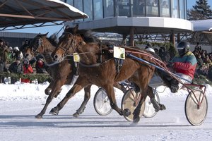 Kai tempą diktuoja žirgai, ryšys turi suspėti: „Sartų“ lenktynėse – naujos kartos technologija