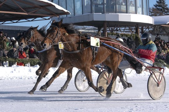 Kai tempą diktuoja žirgai, ryšys turi suspėti: „Sartų“ lenktynėse – naujos kartos technologija