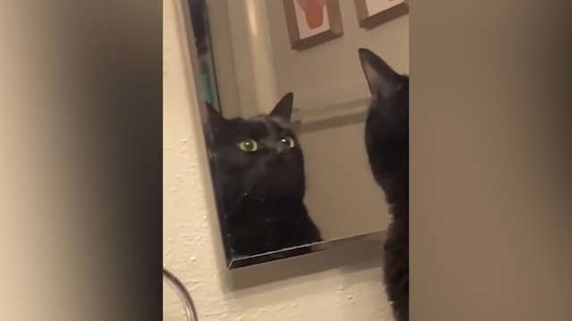 Išvydęs save veidrodyje paniro į minčių gelmes: nesuprasi – grožėjosi ar tyrinėjo savo bruožus