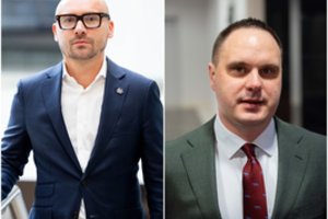Už parlamentines lėšas – paslaugos iš kolegos: paaiškėjo, ką M. Maldeikis pirko iš A. Vyšniausko