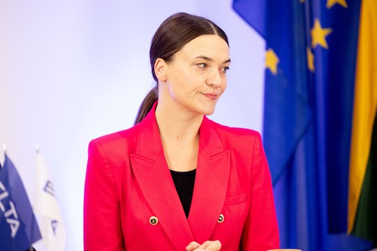 R. Morkūnaitė-Mikulėnienė: rinksime parašus dėl nepasitikėjimo VTEK nariu D. Beinoravičiumi