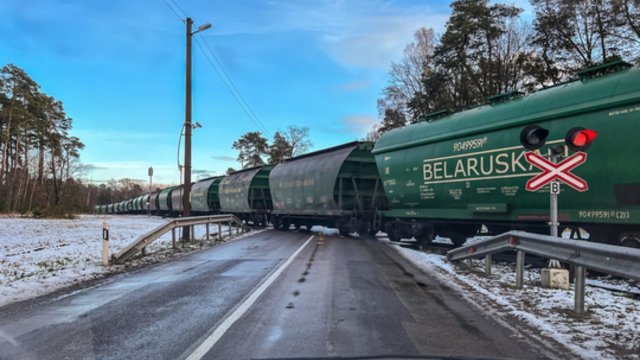 Raginimuose meilikauti A. Lukašenkai įžvelgia pavojų: trąšų atnaujimas reikštų ne tik pinigus režimui