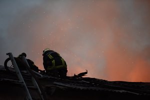 Netoli Birštono kilusio gaisro metu sudegė 18 naminių gyvulių