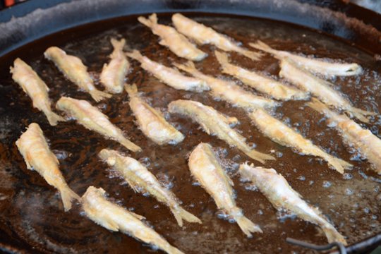 Palanga švenčia: prasidėjo 23-asis „Stintos“ festivalis