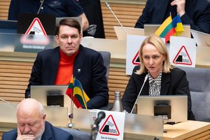 Seimo teisininkai nemano, kad 11-mečius būtų galima priskirti jaunimui