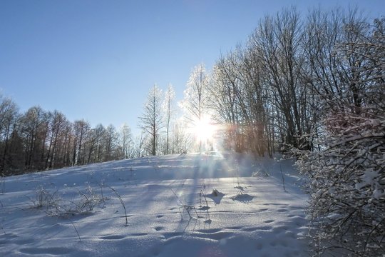 Sinoptikė paskelbė naujausią orų prognozę: pajutę šiltesnius orus prie jų pratintis neturėtume
