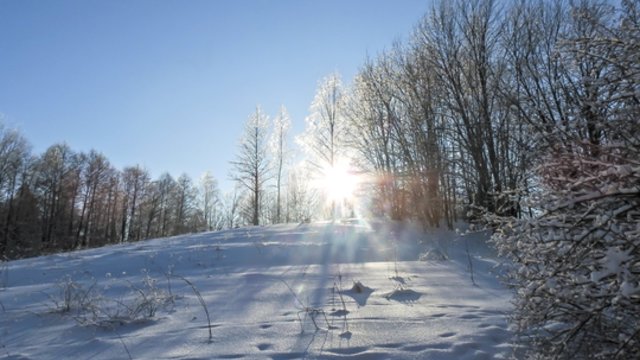 Sinoptikė paskelbė naujausią orų prognozę: pajutę šiltesnius orus prie jų pratintis neturėtume