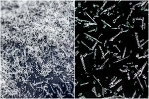 Praėjusią savaitę – neįprastas reginys: snigo „adatomis“