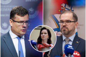 I. Ruginienei tylint dėl Lietuvos scenarijų subyrėjus NATO – L. Kasčiūno klausimas R. Kaunui