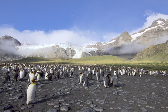 400 salų aplankęs keliautojas įvardijo, kuri paliko didžiausią įspūdį