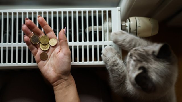 Gyventojai su baime žvelgia į šildymo sąskaitas: atsakė, kas mokės daugiausia