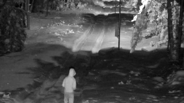 Žlugęs alytiškio planas: atvykus pasiimti atskraidintų cigarečių susekė ir VSAT, ir tarnybinis šuo