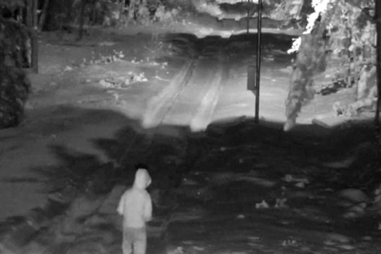 Žlugęs alytiškio planas: atvykus pasiimti atskraidintų cigarečių susekė ir VSAT, ir tarnybinis šuo