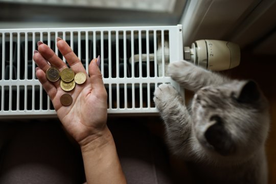 Klaipėdiečius pasieks kompensacijos už šildymą