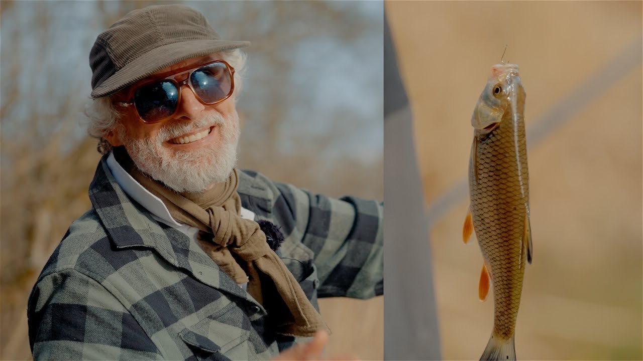 laida Šiandien kimba