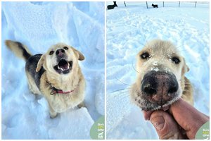 Energijos bomba trokšta rasti tikrus namus: su juo nuobodu nebus