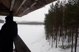 VSAT: neteisėtų migrantų nefiksuota 22 paras, atėjo sąlyginis ramybės laikotarpis